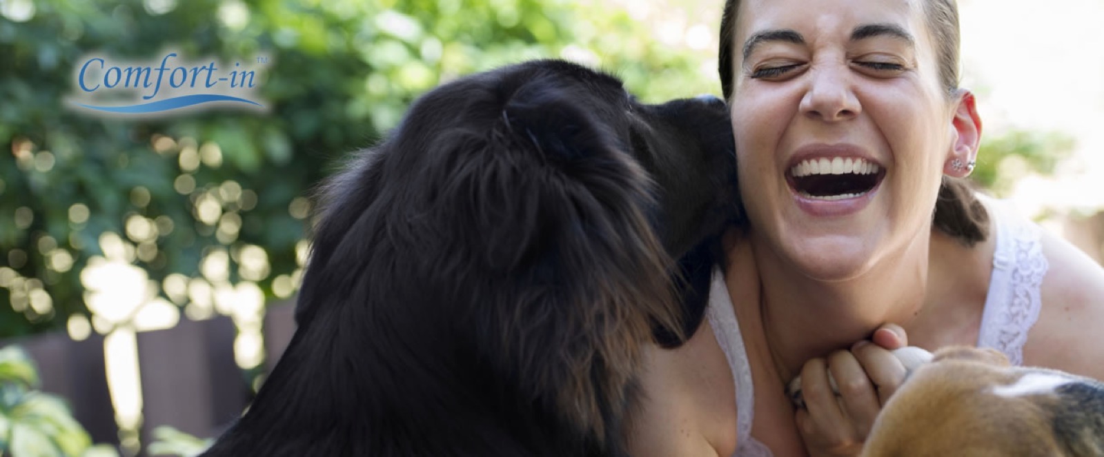 Inyector Comfort-in preparado para un uso veterinario